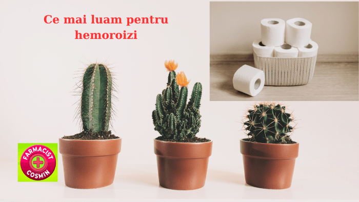 Ce mai luam pentru&nbsp;hemoroizi
