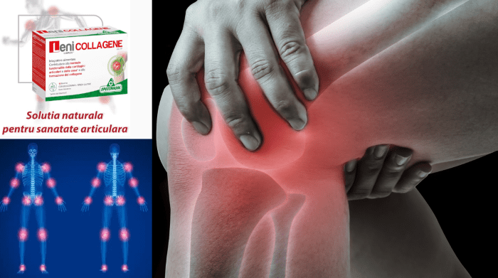 Leni Complex Collagene