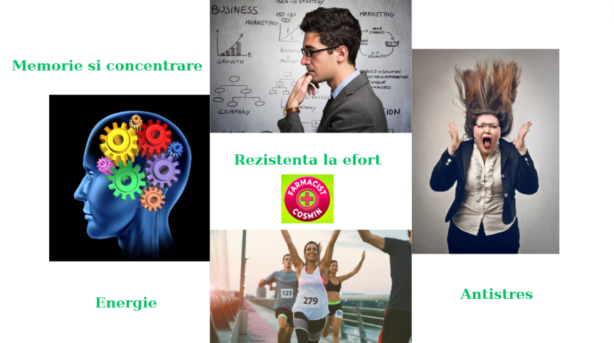 Energie - memorie - concentrare - rezistenta la stres