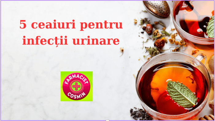 5 ceaiuri eficiente pentru infecții urinare
