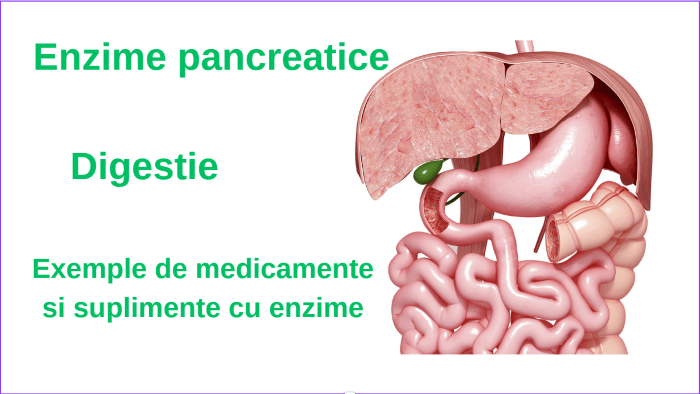 Principalele enzime pancreatice