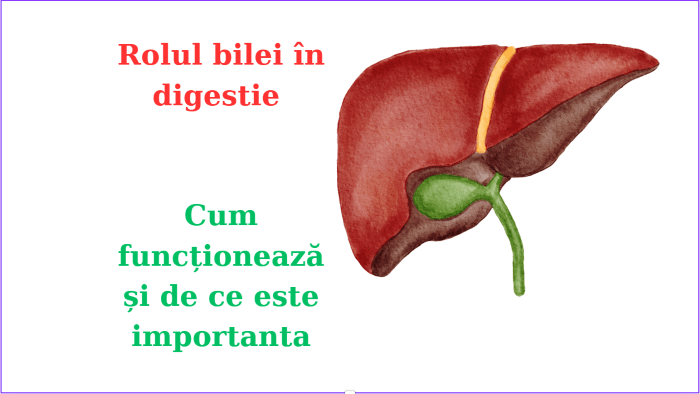 Rolul bilei în digestie