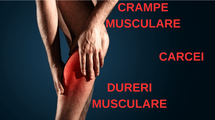 Crampe, cârcei si dureri musculare